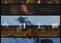 《跌落的裁决》发布上映宣传海报 主演用中文向中国观众致意缩略图