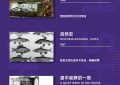 第26届上影节首批片单公布：展映杨·史云梅耶作品缩略图