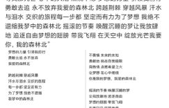 汪峰团队辟谣给森林北创作歌曲：不知谁在搞无聊把戏缩略图