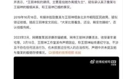 王丽坤老公疑似出事被带走，娱乐圈又起波澜缩略图