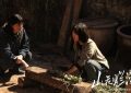 《山花烂漫时》百度云BD1024p/1080p/Mp4」免费资源下载分享缩略图