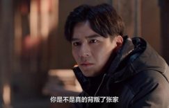 《藏海花》全集百度云网盘在线免费观看[1080p-MP4高清]资源下载缩略图