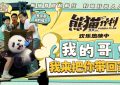 《熊猫计划》下载迅雷BT资源下载种子资源下载[MP4]超高清[HD1080P]缩略图