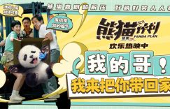 《熊猫计划》下载迅雷BT资源下载种子资源下载[MP4]超高清[HD1080P]缩略图