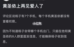 杨子7个手机被曝光，黄圣依没权看，俩人聊天群里有8个人缩略图