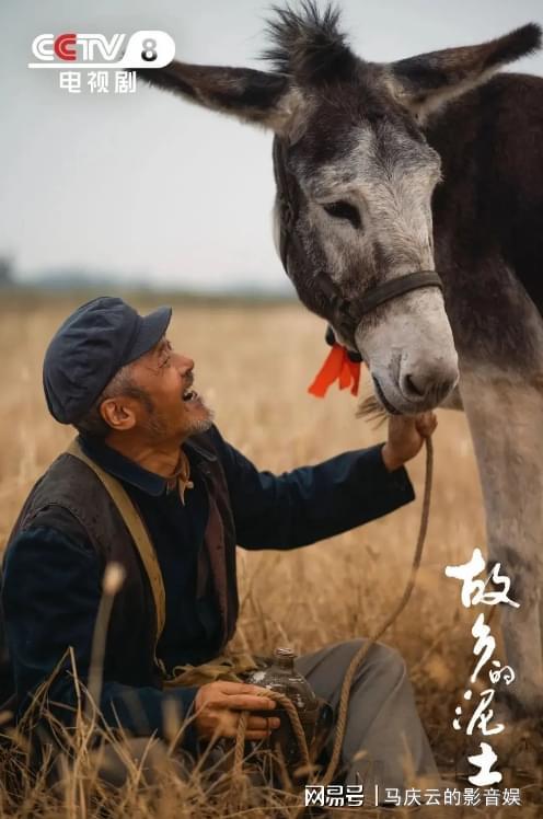 《故乡的泥土》全集下载（BD1080P/泄露-MP4高清）百度云网盘资源下载插图1