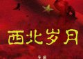 《西北岁月》免费百度云网盘1080pHD高清免费资源下载缩略图