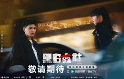 《黑白森林》全集百度网盘迅雷BT资源下载[HD-1280PMP4]4k高清缩略图