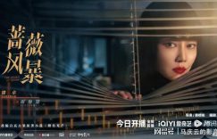 《蔷薇风暴》全集电视剧百度云迅雷BT种子免费加长版【BD720P/夸克网盘-MP4】缩略图