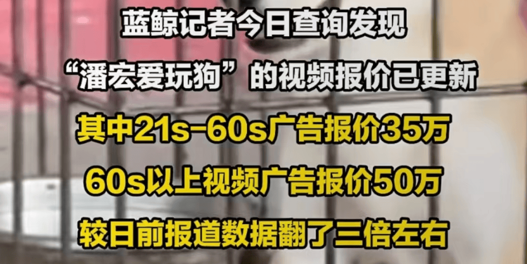 网红潘宏虐狗事件发酵！暴力训狗月入近百万，网友怒了要求严惩插图1