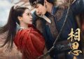 《相思令》全集百度云(在线免费)百度云资源下载【1080P高清】缩略图