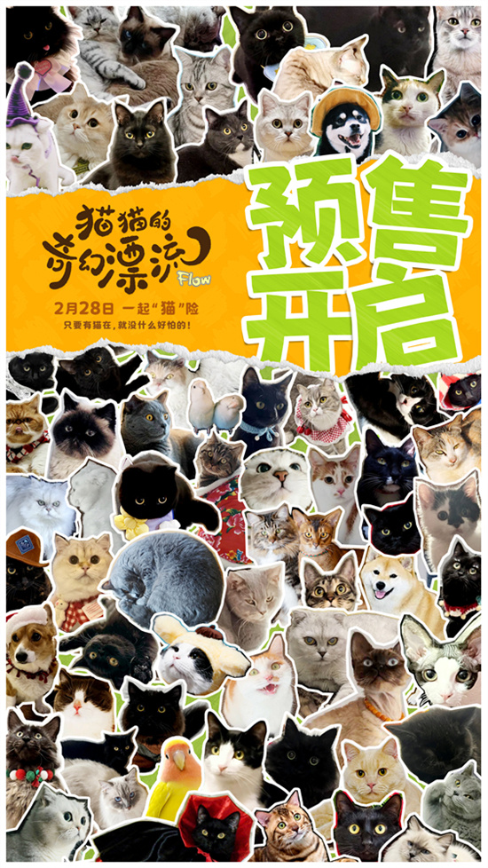 《猫猫的奇幻漂流》百度云网盘DVD版免费(免费观看)【1280p高清下载】插图