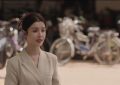 《成家》全集（在线免费观看）百度云网盘资源[1080p]Mp4缩略图