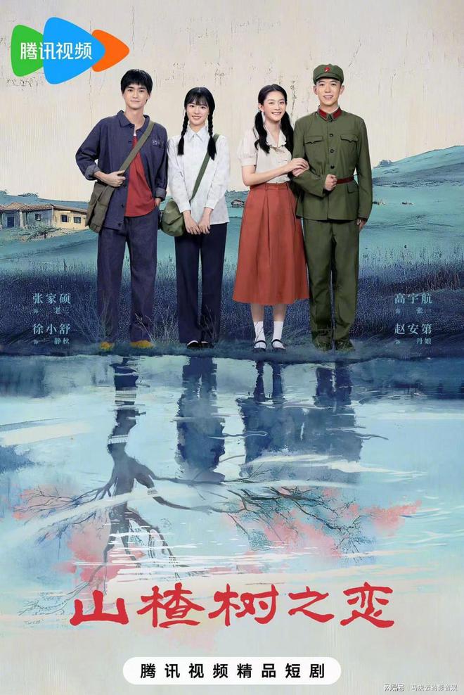 《山楂树之恋》百度云资源下载[1080高清]网盘分享插图1