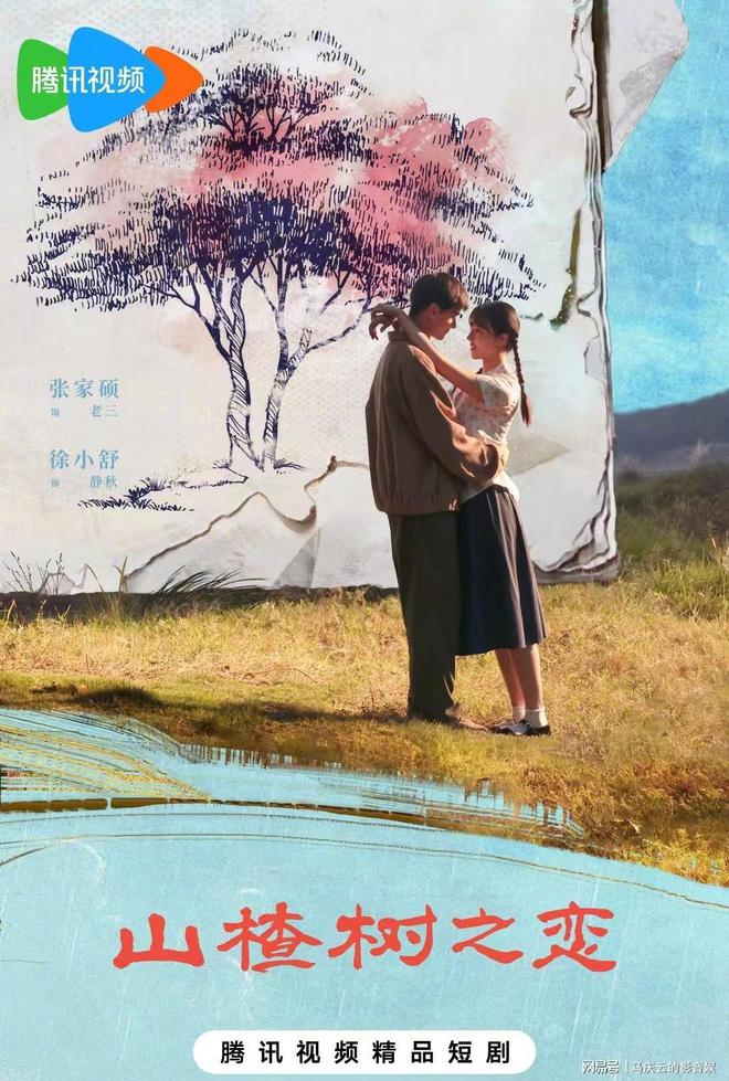 《山楂树之恋》百度云资源下载[1080高清]网盘分享插图2