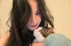 杨幂晒立夏美照，和猫咪贴贴好有爱缩略图