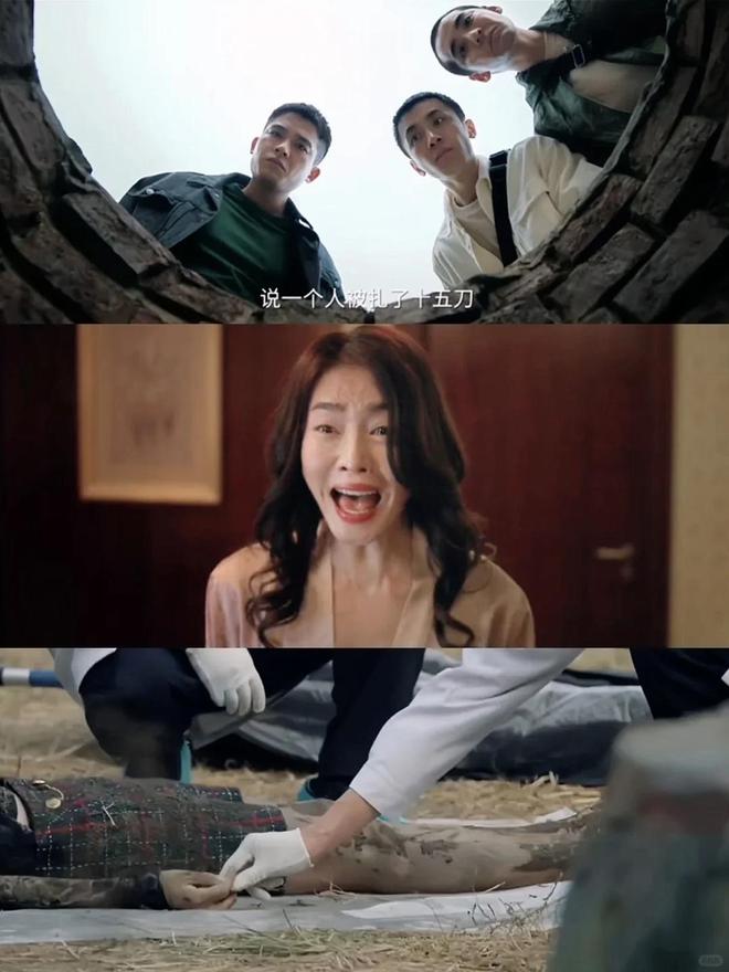 《刑警的日子》全集百度云网盘资源下载链接（HD1280P高清泄露-MP4）在线观看插图2