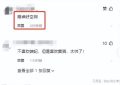 《掌心》全集在线观看百度云电视剧免费观看阿里云盘HD1080P高清资源下载缩略图