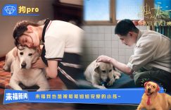 《独一无二》HD正版高清百度云资源下载【1280p超清晰】缩略图