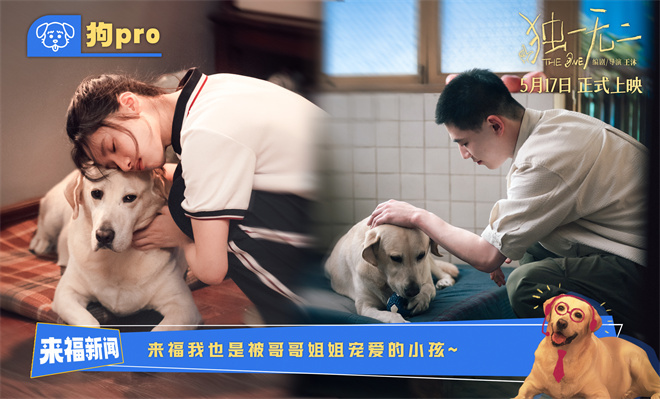 《独一无二》HD正版高清百度云资源下载【1280p超清晰】插图