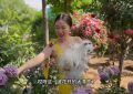 44岁霍思燕晒京郊花园，每天亲手打理，抱着7万块的狗狗逛花园真有范儿缩略图
