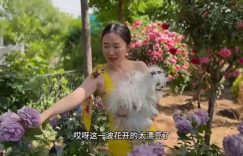 44岁霍思燕晒京郊花园，每天亲手打理，抱着7万块的狗狗逛花园真有范儿缩略图