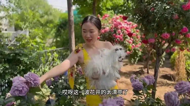 44岁霍思燕晒京郊花园，每天亲手打理，抱着7万块的狗狗逛花园真有范儿插图