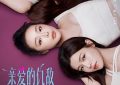 追到第八集，唠唠《亲爱的仇敌》缩略图