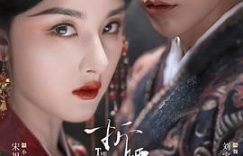 魏劭重生变刘宇宁，《折腰》剧评来啦缩略图