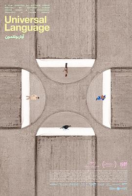 善良，灵魂更高级的一种语言——《共同的语言》影评插图
