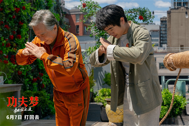《合功夫！《功夫梦：融合之道》百度云网盘阿里云盘【高清免费中字】迅雷在线看阿里云盘插图