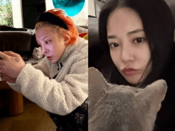 权认和李珠两人李珠妍谈恋爱：两人确实在济州岛一起玩了四天三夜插图