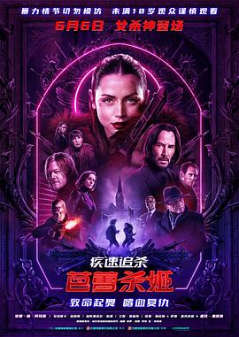 《疾速追杀：芭蕾杀姬》影评：狂人镇大乱斗插图