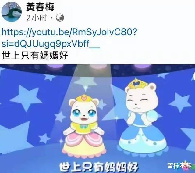 汪妇细节曝光，细节曝光，场面大小引热议，婚纱照甜到爆插图1