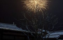《安结局：枝》全集百度云网盘下载资源下载「高清1080p阿里云盘超清1080p蓝光】缩略图