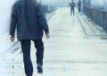 《鹳鸟踟蹰》8.6分，别把自由当流浪——影评缩略图
