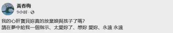 S夜条动态句话条动态想大S，被网友怼惨，评论区一句话让人破防插图