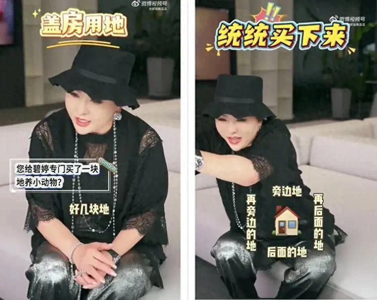 向婷买了系买了好几块地，她俩关系中郭碧婷更胜一筹插图