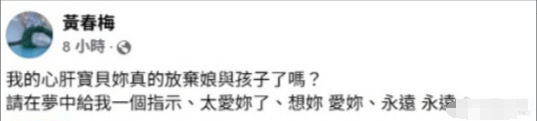 S晨念大S想念大S：好想你，永远爱你插图