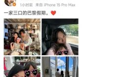 伊儿庆生，巴黎庆生，秦昊宠溺笑对镜头，小米粒9岁越长越像奶奶缩略图