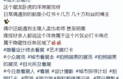 叶儿首次露面首次露面！参加豪宅展生活很滋润，戴着大钻戒还是那么美缩略图