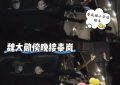 秦友喝酒，魏光喝酒，掏出手机跟魏大勋热聊，内容差点曝光吓坏粉丝缩略图