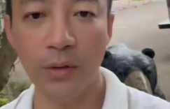 S底小菲物园！汪小菲带娃逛动物园，玥儿都快跟马筱梅一样高了缩略图