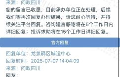 凤凰会了！出演唱会也取消了！之前两场演出也都没办成缩略图