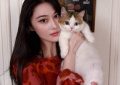 张家照，抱着照，抱着猫咪超有爱缩略图