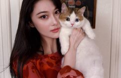 张家照，抱着照，抱着猫咪超有爱缩略图