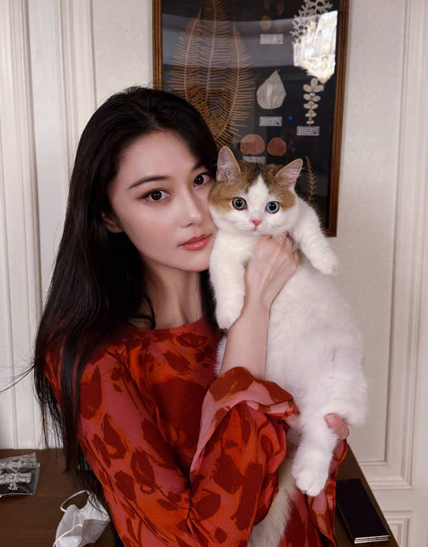 张家照，抱着照，抱着猫咪超有爱插图