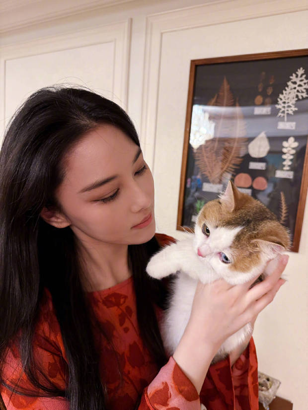张家照，抱着照，抱着猫咪超有爱插图1