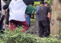 景西时，员摔下时，一工作人员摔下坡，她赶紧上前关心并提醒大家注意安全缩略图