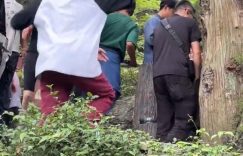 景西时，员摔下时，一工作人员摔下坡，她赶紧上前关心并提醒大家注意安全缩略图